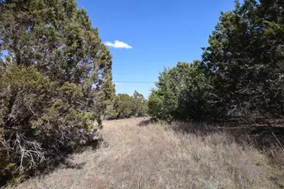 370-B Kothman Road, Dripping Springs, TX 78620 - Photo 28