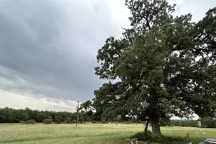136 Fm 2239 Rd, Paige, TX 78659 - Photo 2