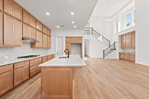 117 Wild Lily Trl, Georgetown, TX 78628 - Photo 6
