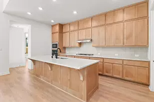 117 Wild Lily Trl, Georgetown, TX 78628 - Photo 2
