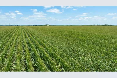 Tbd Manda Carlson Road, Coupland, TX 78615 - Photo 14