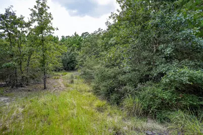 Tbd Kipahulu Drive #2, Bastrop, TX 78602 - Photo 2