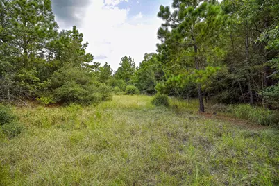 Tbd Kipahulu Drive #2, Bastrop, TX 78602 - Photo 1