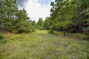 Tbd Kipahulu Dr, Bastrop, TX 78602 - Photo 1