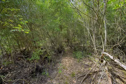 Tbd Kipahulu Drive #2, Bastrop, TX 78602 - Photo 24