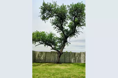 1816 Spring Mountain Cove, Georgetown, TX 78628 - Photo 20