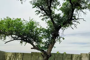 1816 Spg Mountain Cv, Georgetown, TX 78628 - Photo 20