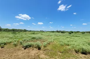 577 (Lot 10) County Road 422 A Rd, Stockdale, TX 78160 - Photo 38