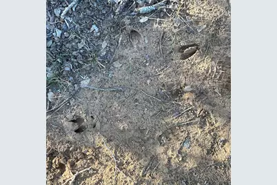 4668 Fm 535, Cedar Creek, TX 78612 - Photo 28