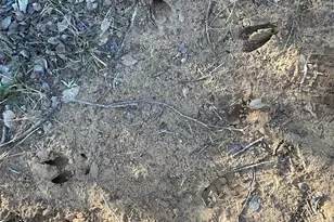 4668 Fm 535, Cedar Creek, TX 78612 - Photo 28