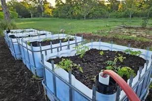 4668 Fm 535, Cedar Creek, TX 78612 - Photo 18