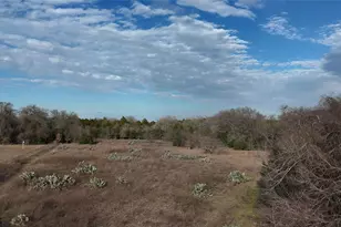 4668 Fm 535, Cedar Creek, TX 78612 - Photo 34