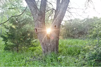 4668 Fm 535, Cedar Creek, TX 78612 - Photo 26