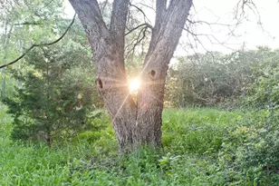 4668 Fm 535, Cedar Creek, TX 78612 - Photo 26