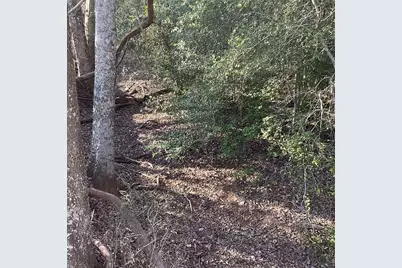 4668 Fm 535, Cedar Creek, TX 78612 - Photo 28