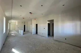 113 Knockout Rose Dr, San Marcos, TX 78666 - Photo 8