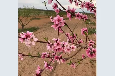 5386 Ranch Rd 1376 Road #370, Fredericksburg, TX 78624 - Photo 16