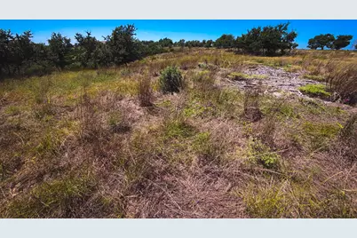 151 Falling Oak Drive, Blanco, TX 78606 - Photo 26