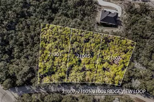 21005 Ridgeview Loop, Lago Vista, TX 78645 - Photo 1