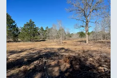 000 Grassyville Road, Paige, TX 78659 - Photo 1