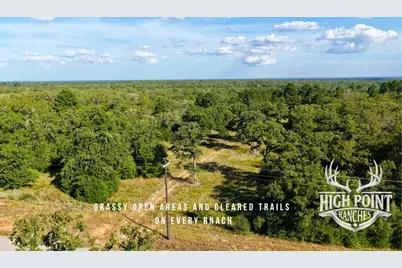 Tbd Ranch Road Off Cr 405 (+/- 175 Acres), Lexington, TX 78947 - Photo 6