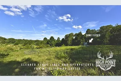Tbd Ranch Road Off Cr 405 (+/- 175 Acres), Lexington, TX 78947 - Photo 8