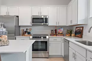 2518 Violet Theo Ln, Round Rock, TX 78665 - Photo 12