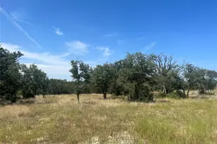 Tbd Pr 4219 Lot 94, Evant, TX 76525 - Photo 10