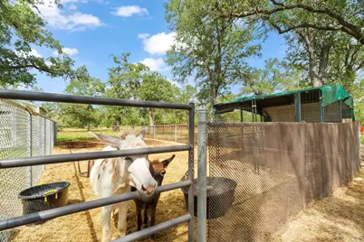 3434 Prairie Lea Road, Kingsbury, TX 78638 - Photo 36