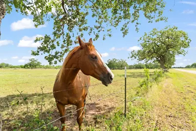 3434 Prairie Lea Road, Kingsbury, TX 78638 - Photo 40