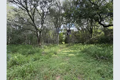 437 Balch Road, Elgin, TX 78621 - Photo 36