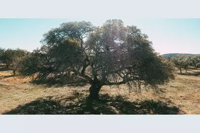 268 Kinnikinik Lot 9 Loop, Austin, TX 78737 - Photo 1