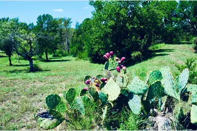 8060 County Road 210 Road, Bertram, TX 78605 - Photo 6