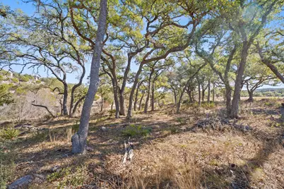 100 Dario Drive, Dripping Springs, TX 78620 - Photo 22