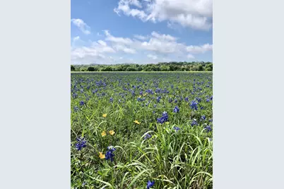 100 Dario Drive, Dripping Springs, TX 78620 - Photo 6