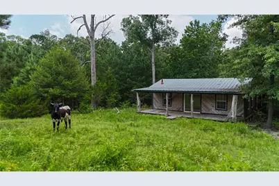 3117-3197 Fm-980 Fm-980, Point Blank, TX 77364 - Photo 26