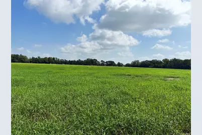 141 Grassyville Road, Paige, TX 78659 - Photo 30