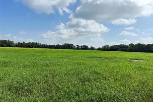 141 Grassyville Rd, Paige, TX 78659 - Photo 30