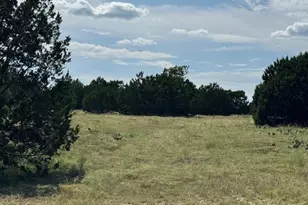 Lot 23 Rifle Ridge, Burnet, TX 78611 - Photo 6