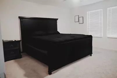 313 Magnum Force Drive, Jarrell, TX 76537 - Photo 16