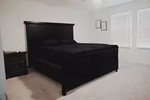 313 Magnum Force Dr, Jarrell, TX 76537 - Photo 16