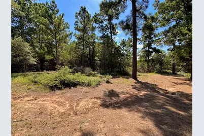445 Pine Valley Loop, Smithville, TX 78957 - Photo 4