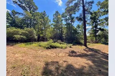 445 Pine Valley Loop, Smithville, TX 78957 - Photo 2