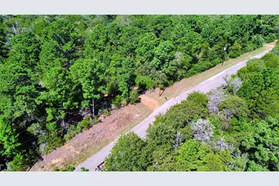 445 Pine Valley Loop, Smithville, TX 78957 - Photo 10