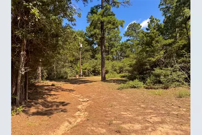 445 Pine Valley Loop, Smithville, TX 78957 - Photo 8