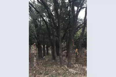 101 Timber Line Road, Georgetown, TX 78633 - Photo 10