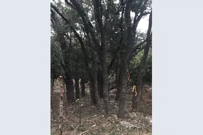101 Timber Line Road, Georgetown, TX 78633 - Photo 10