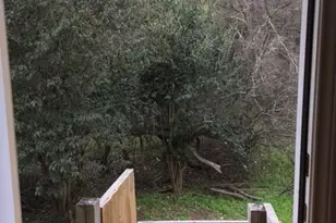 1713 Cinnamon Path, Austin, TX 78704 - Photo 14