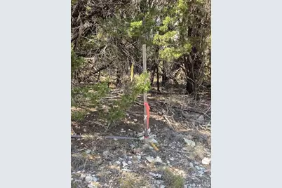 1000 Norwood Road, Dripping Springs, TX 78620 - Photo 20