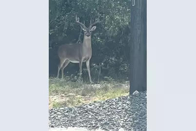 505 John Price Street, Blanco, TX 78606 - Photo 40